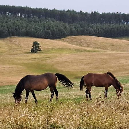 Apartman Nimfa Zlatibor Eksteriør bilde