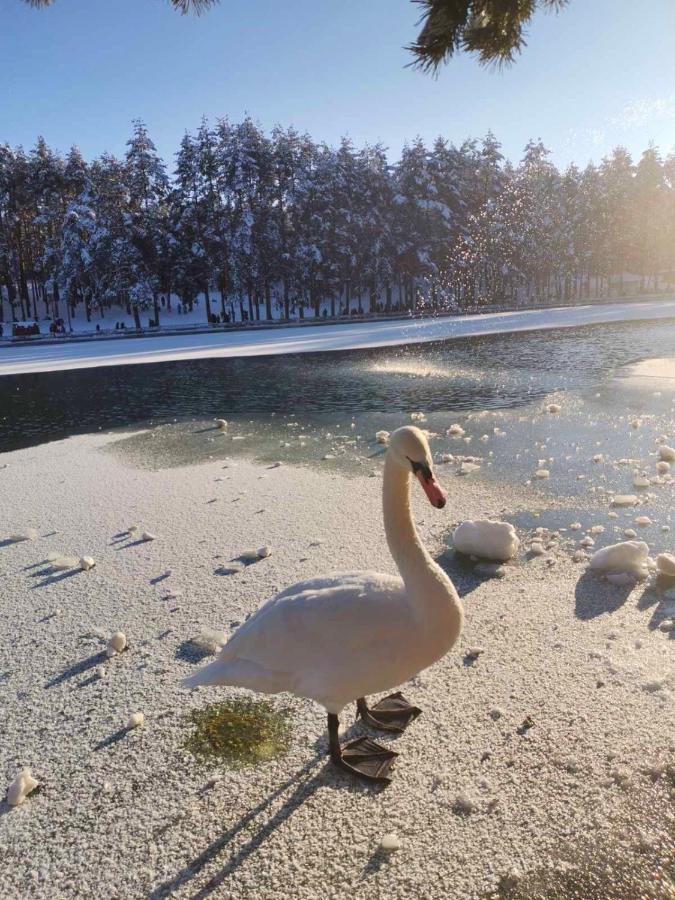Apartman Nimfa Zlatibor Eksteriør bilde